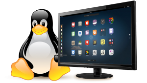 Linux: a family of free and open-source software operating system.